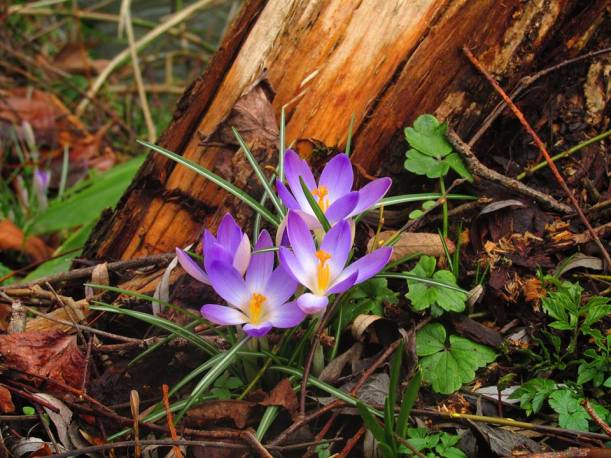 923116_10200636555876899_1272400953_n