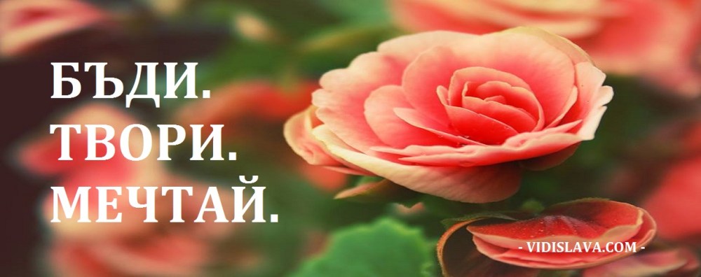 10251939_335231643334425_834147168011664992_n